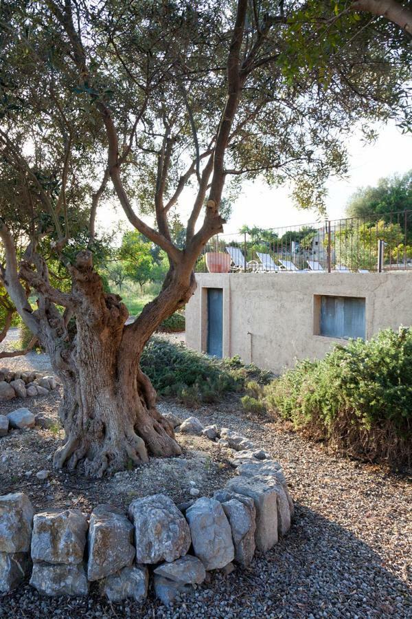 Hotel Can Riera Moscari Εξωτερικό φωτογραφία